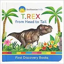 T Rex From Head To Tail